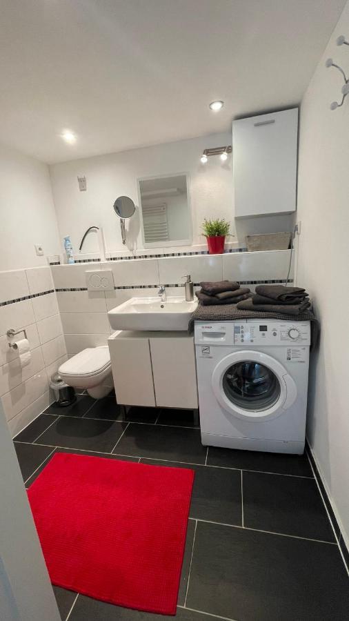 Appartment Basel Saint-Louis  Dış mekan fotoğraf